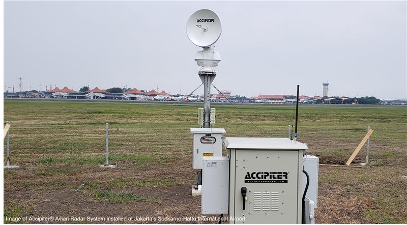 Photo of Accipiter to provide avian radar for the Hellenic Air Force